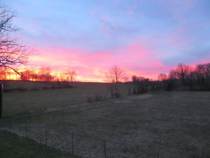 View from the window - an invitation to procrastinate