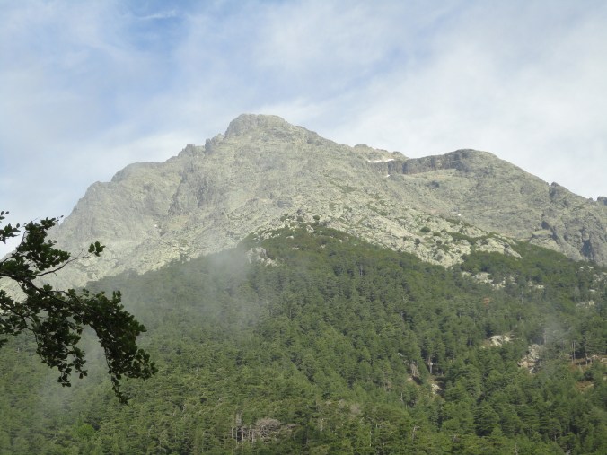 Slopes covered with chestnut trees, Monte D'Oro in the background